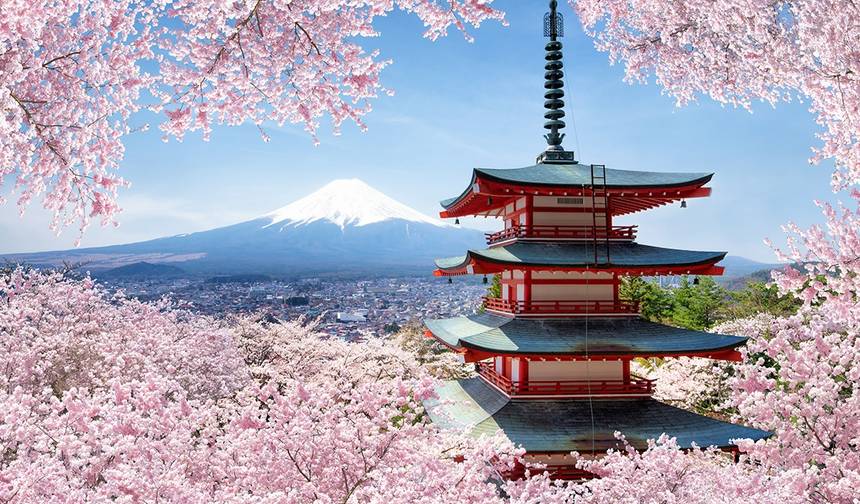 日本の真髄 8日間7泊 — 1