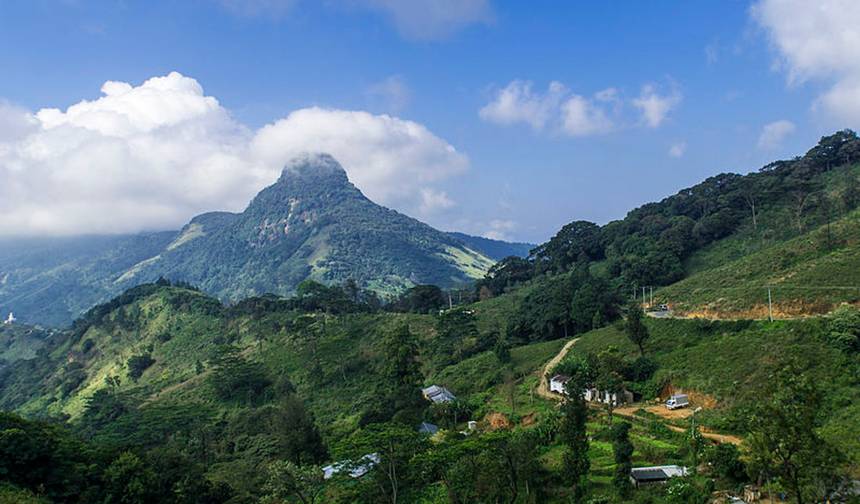 "True Adventure - Wild Trails Expedition"  (Wildlife / Hiking / Rainforest) 13 Days — 1