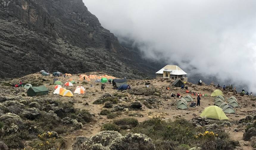 Tour de 10 Dias: Escalada ao Kilimanjaro e Safári — 1
