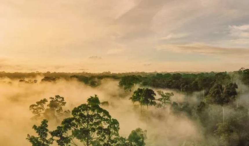 Descoberta de Bornéu, Sarawak e Sabah — 1