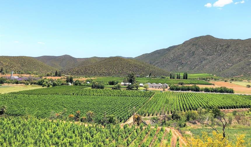 Destaques de 4 dias da Garden Route (com Alojamento) — 1