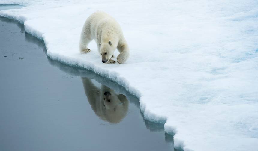 Zachodni Svalbard — 1