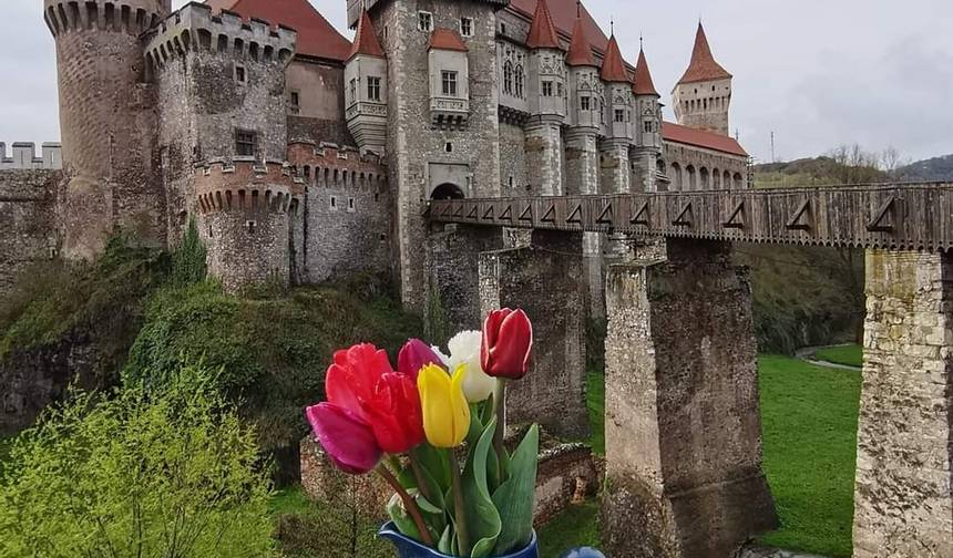 Prywatna wycieczka po Rumunii UNESCO 7 dni — 1