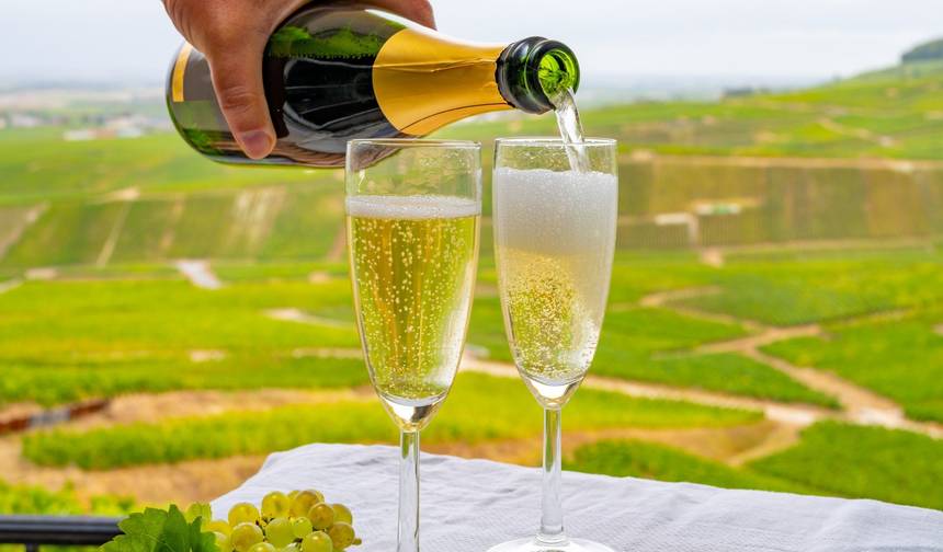 Walking The Vineyards of Champagne - Deluxe — 1