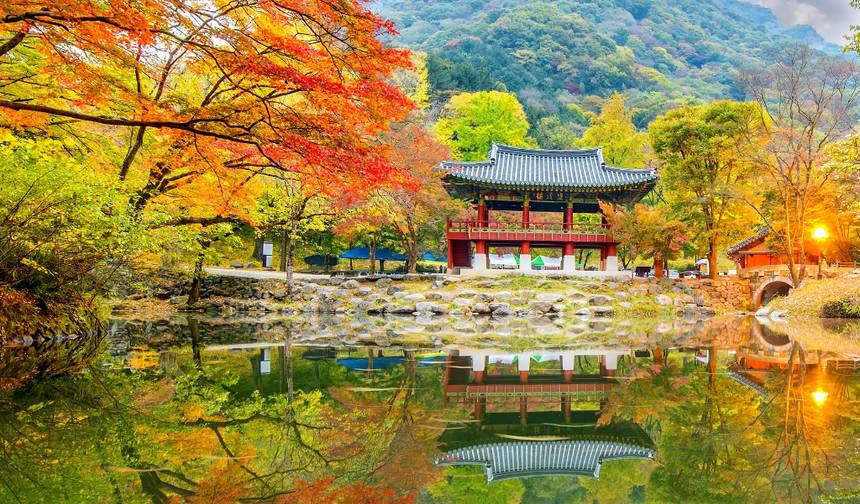 6 Days of Culinary Culture & Korean Heritage - Private Tour (Seoul/Jeonju/Gwangju/Suncheon) — 1