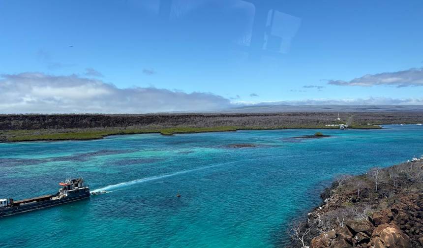 5 Dias Galápagos Santa Cruz | Passeios Diários de Vida Selvagem — 1