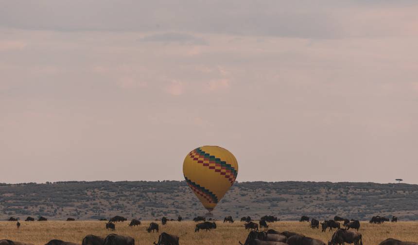 Serengeti, Masai Mara, Krater i Zanzibar 12 dni/13 nocy — 1
