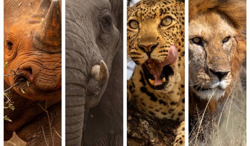 Cheetah Classic Adventure Safari in Tanzania **Sustainable Approach to Travel — 1