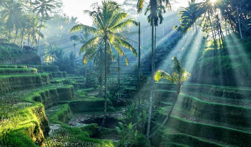 Aventura de 13 Dias: A Vida em Bali — 1