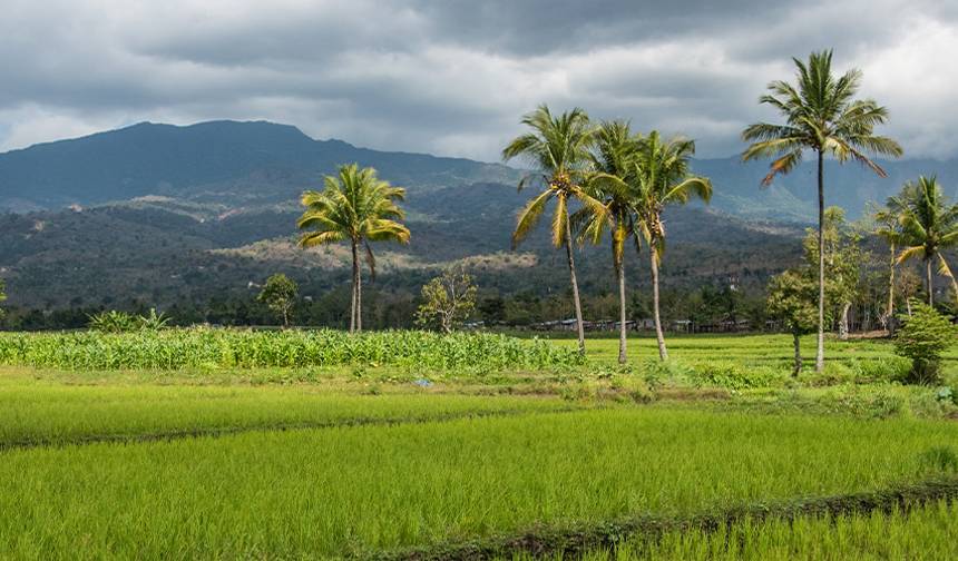Expedição a Timor-Leste — 1