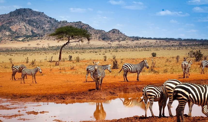 8-Days Botswana Northern Highlights & Victoria Falls — 1