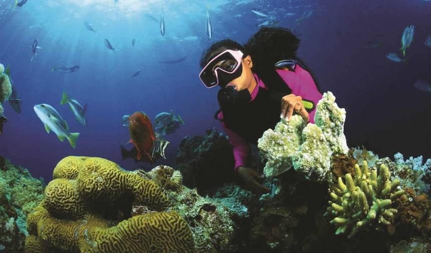 Experiência de Cultura e Praias da Costa Leste no Verão 2024 — 1