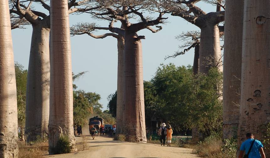 Madagascar Mangoky River / Rainforest & The West 18Days/17Nights. — 1