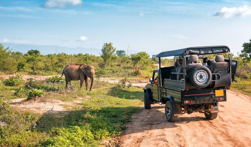Melhores Praias, Experiências Culturais e Aventuras Verão 2024 — 1