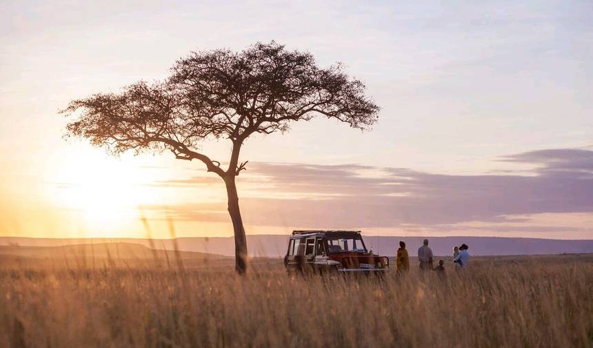 3 Days 2 Nights small group safari - Lodge Option — 1