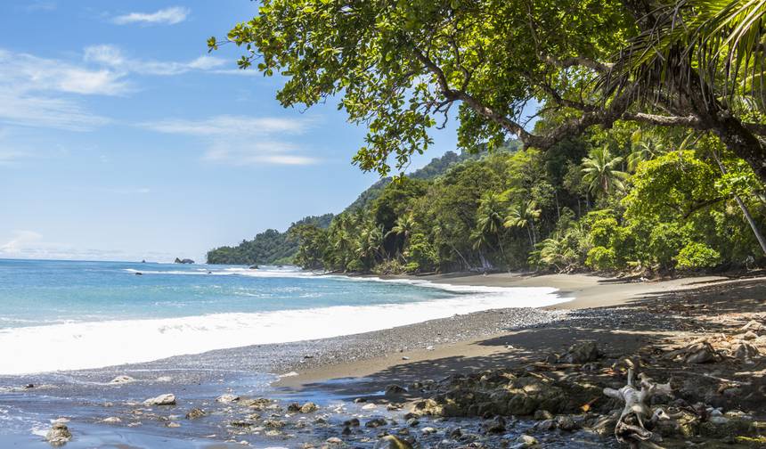 Costa Rica: Um Mundo de Natureza com o Parque Nacional Tortuguero, o Vulcão Arenal e o Parque Nacional Manuel Antonio (2027) — 1