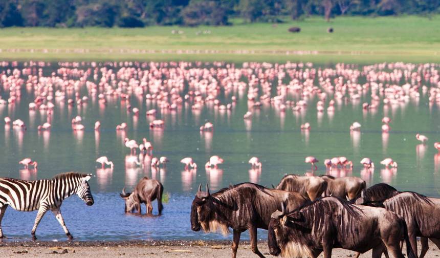 Zambia do Nairobi (Z zakwaterowaniem) - 21 dni — 1