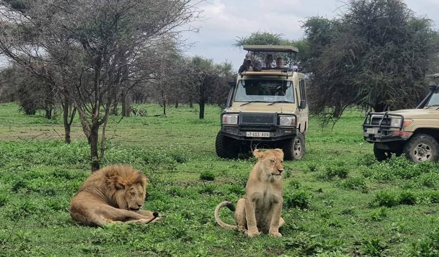 3 Dni - Arusha NP, Tarangire & Manyara — 1