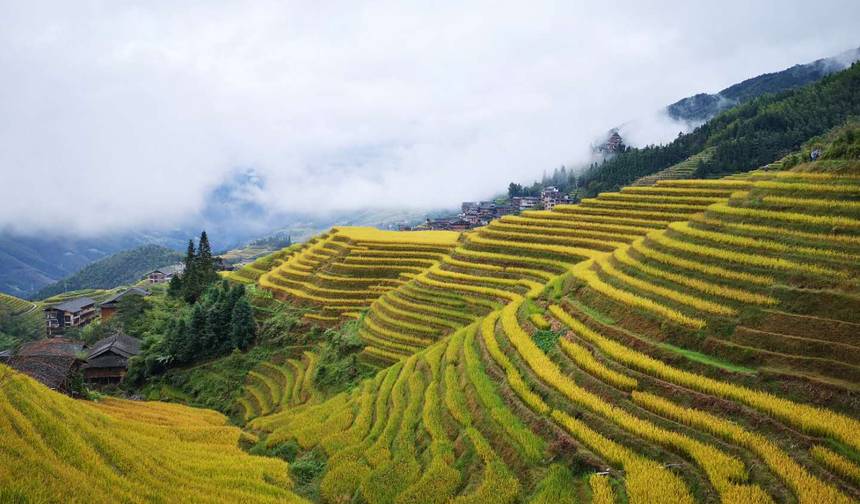 Explore Longji e Guilin de trem-bala a partir de Hong Kong em 5 Dias — 1