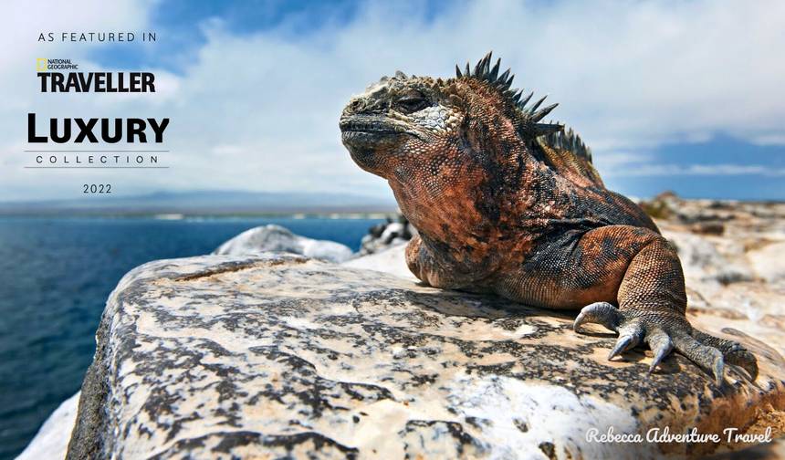 7-Day Galapagos Luxury Safari — 1