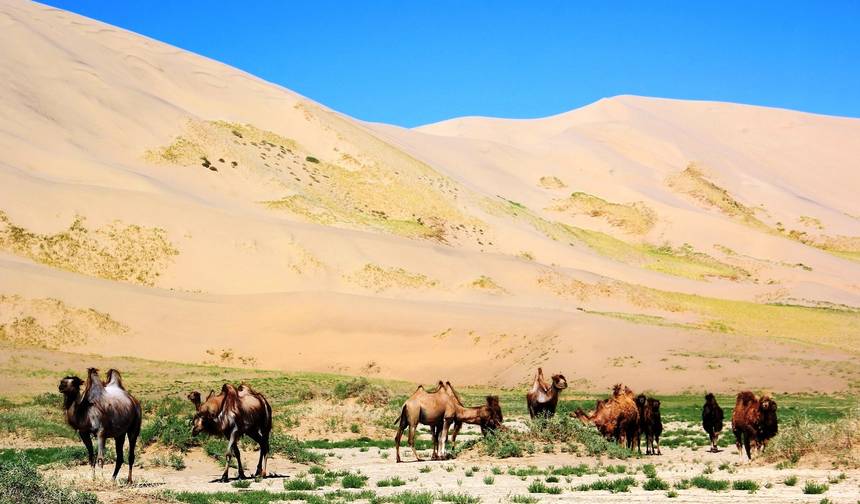 Grande tour pelo Deserto de Gobi — 1