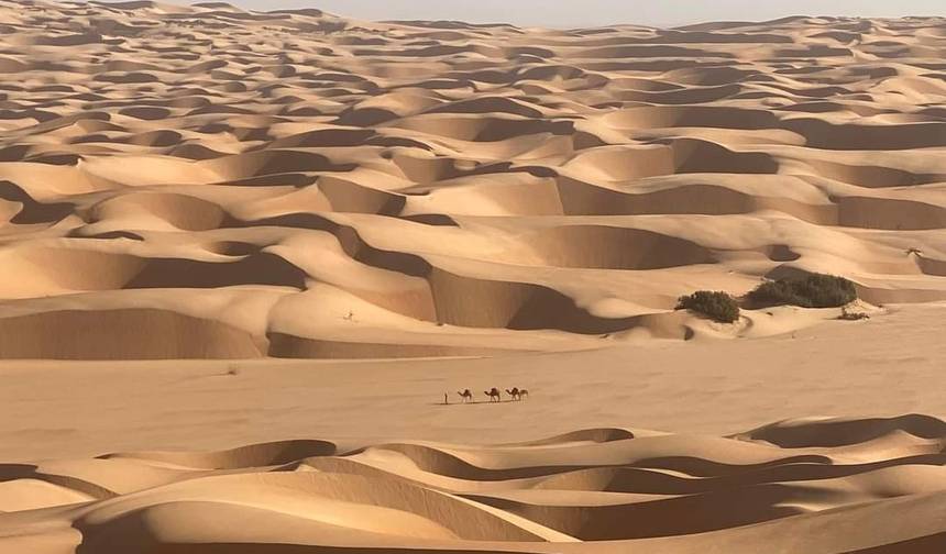 10 Days Tour in Mauritania — 1