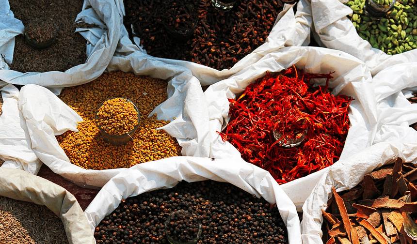 Rajasthan Food Adventure Tour [8 Days] — 1