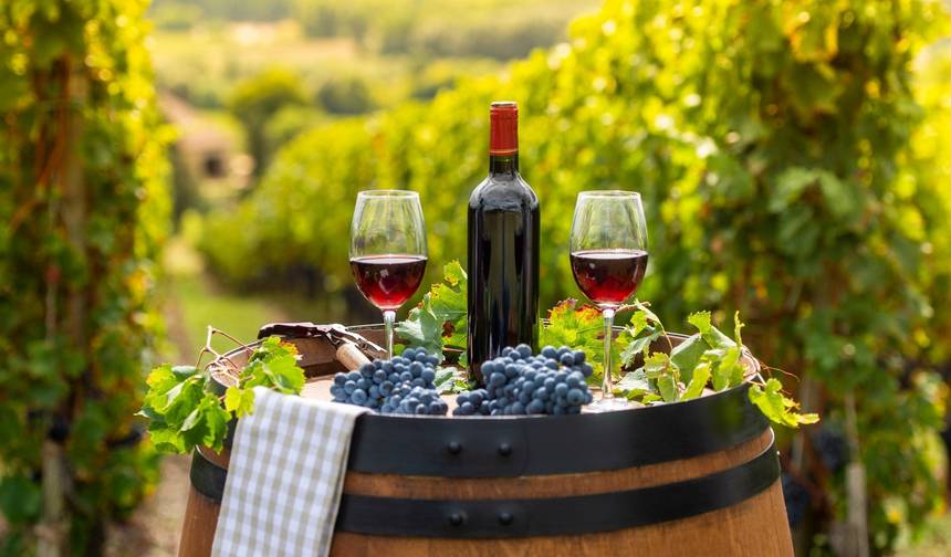 Vale do Loire: Caminhadas, Vinho e Castelos — 1