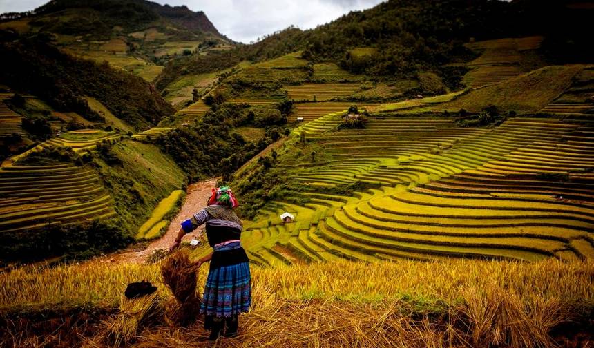 Vietnã Escondido: Sapa e Além — 1