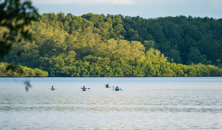 8-Day Lodge-to-Lodge Golfo Dulce Sea Kayaking Trip — 1