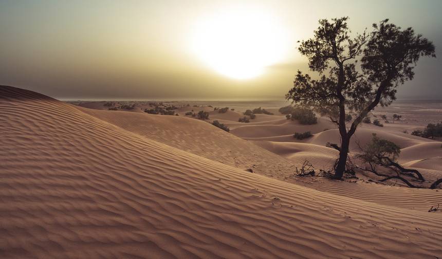مغامرة جنوب المغرب - 15 يومًا — 1