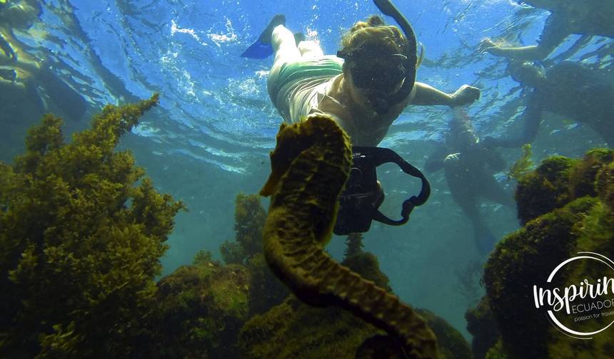 Expedição Ativa de 5 Dias em Galápagos — 1