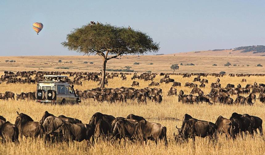 Safari de 3 Dias na Reserva de Caça Masai Mara, Quênia — 1