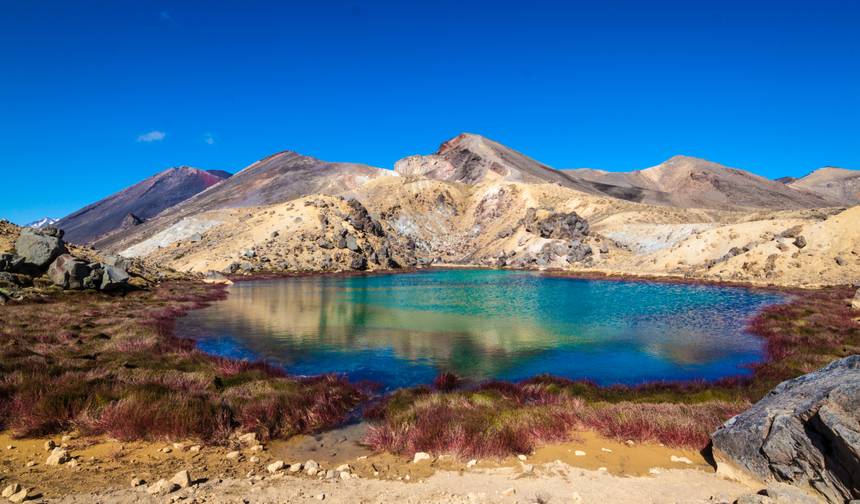 Natural Wonders of New Zealand from Christchurch to Auckland — 1