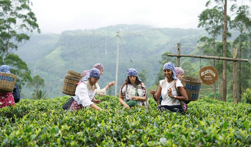 Cultural Treasures and Natural wonders, Sri Lanka's Splendorous path — 1