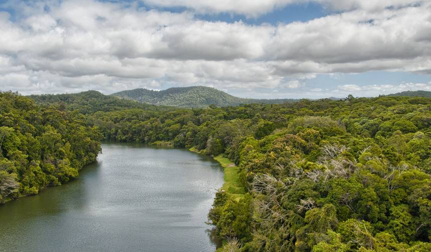 جولة بوتيكية لمدة 3 أيام: Daintree Rainforest، Cape Tribulation & Port Douglas — 1