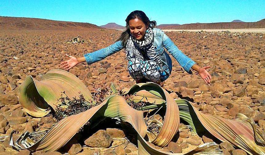 Safari de 9 Dias com Alojamento e Acampamento em Etosha, Skeleton Coast e Sossusvlei — 1