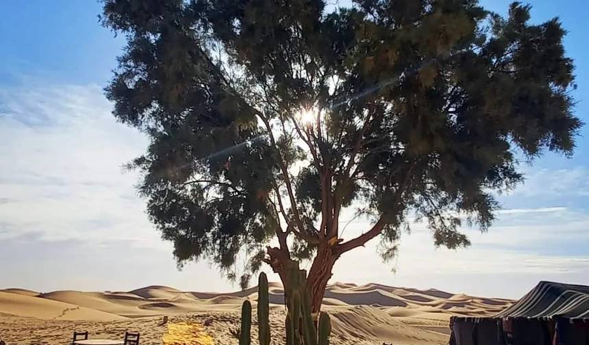 7 Days Tour From Marrakech via Atlas Mountains & Desert (Private) — 1