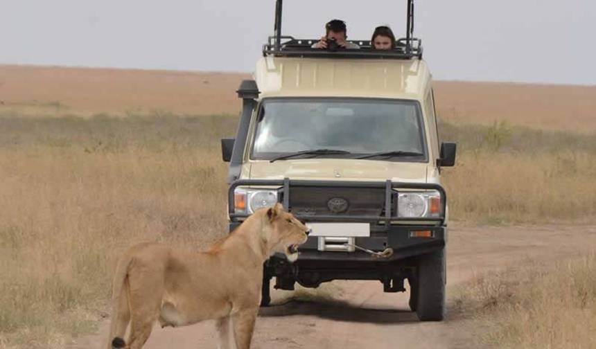 15 Dias de Safari Combinado no Quênia e Tanzânia — 1