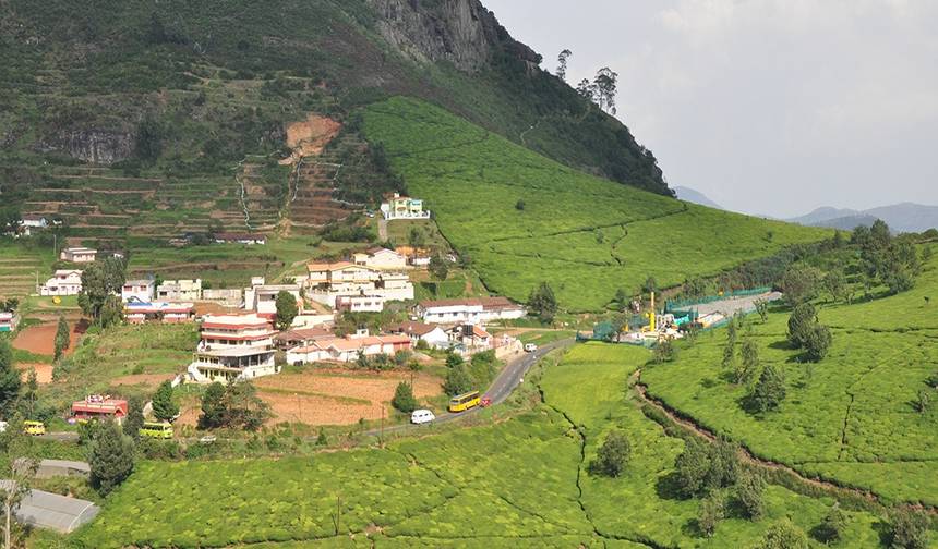 Revel in the Natural Beauty: A 4-day Bandipur Tour with Ooty and Coonoor(ALL INCLUSIVE) — 1