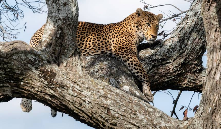 Take Me Around East Africa — 1