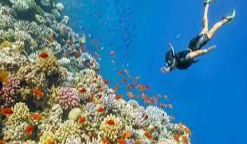 Snorkeling Tour On Giftun Island — 1