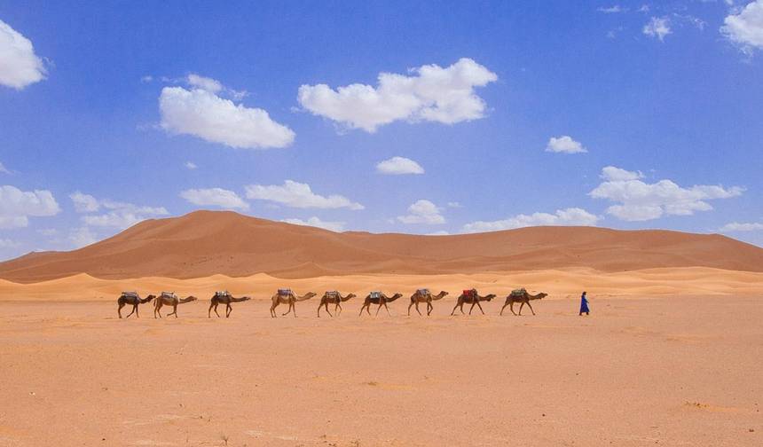 رحلة الصحراء من مراكش لمدة 3 أيام إلى مرزوگا — 1