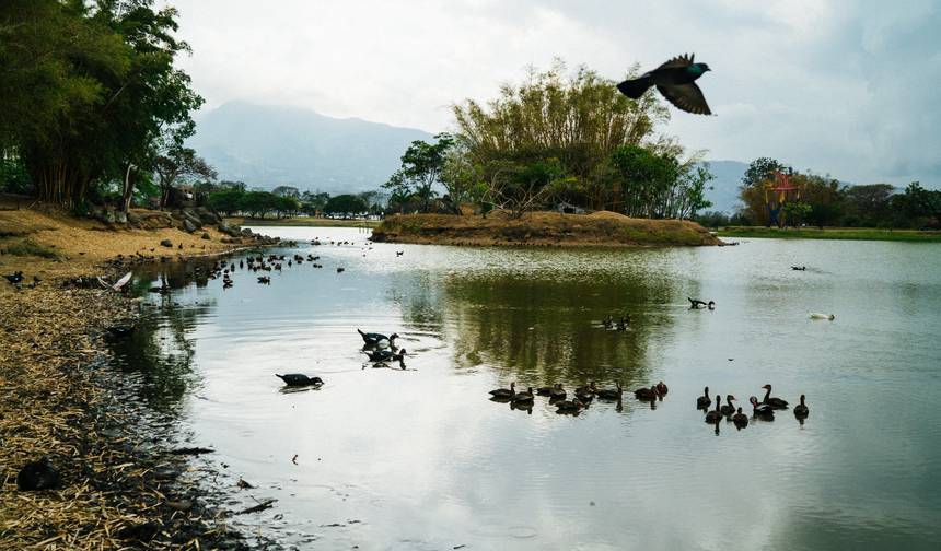 Costa Rica for Nature Explorers — 1