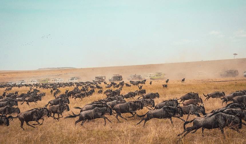 5-Day Kenya-Tanzania Combined Safari — 1