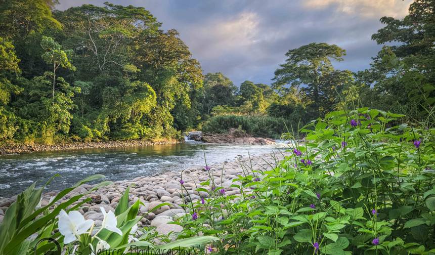 Costa Rica Completa — 1