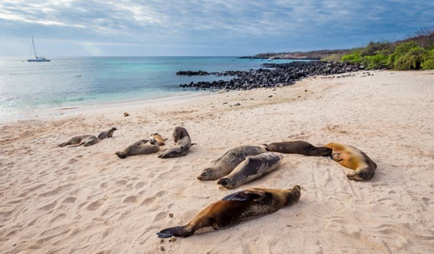 Peru & Galapagos Discovery - 15 Days — 1