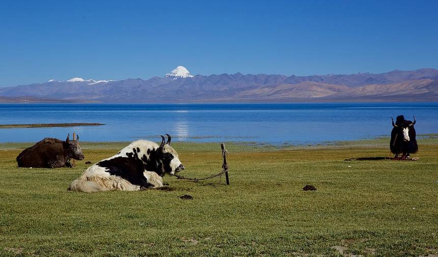 Mount Kailash Tour- Drive In Drive Out — 1