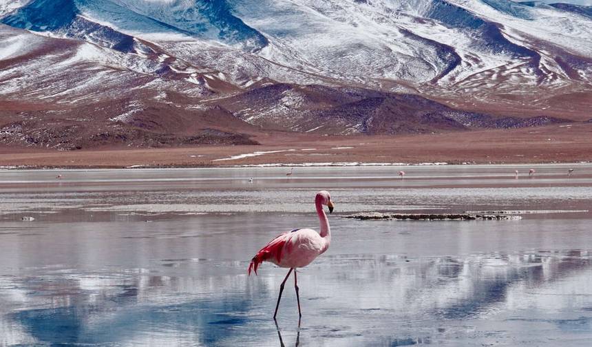 O Melhor da Argentina, Bolívia e Chile — 1