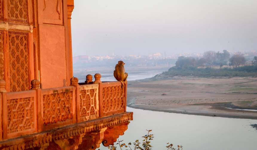 Taj Express - 8 days — 1